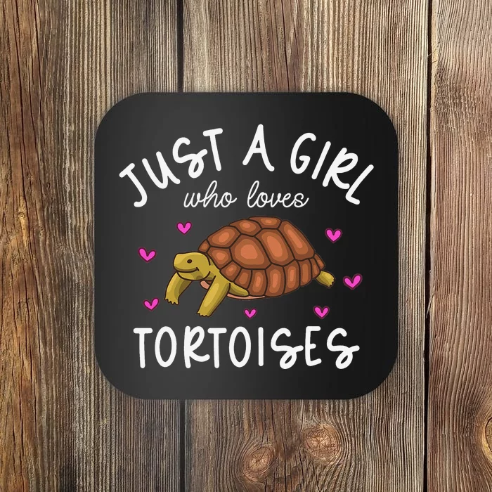 Tortoise Tortoise Lover Funny Tortoise Coaster