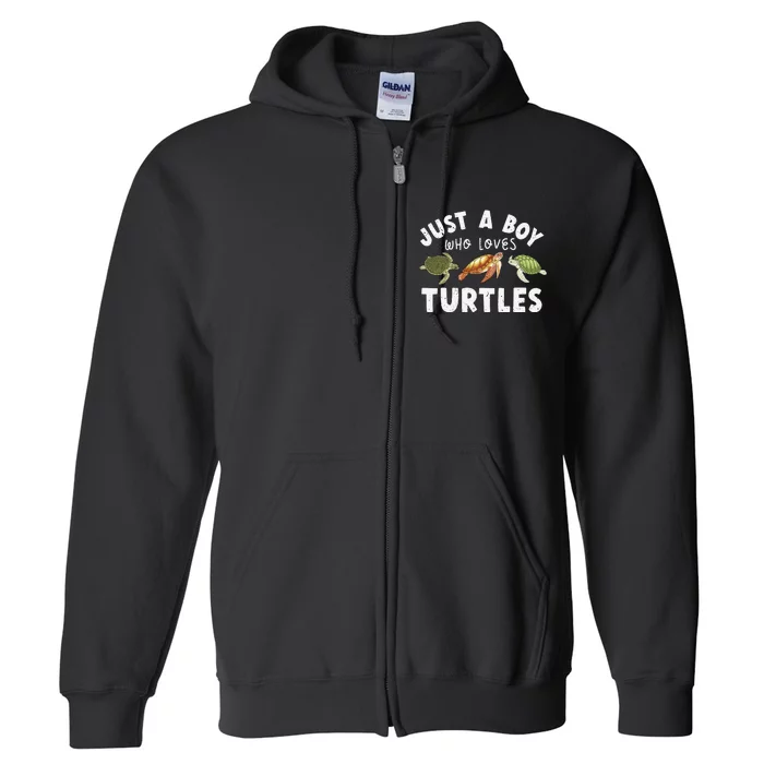 Turtle Turtle Lover Funny Turtle Full Zip Hoodie