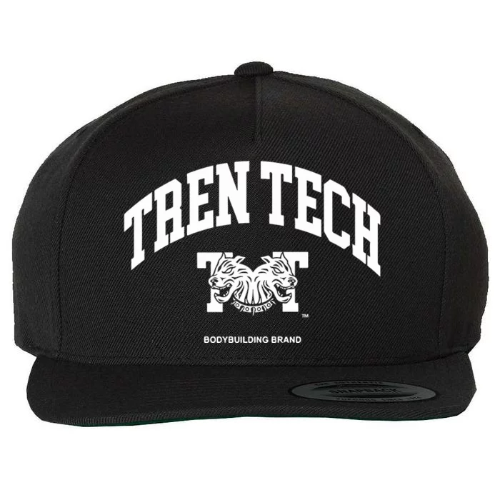 Trend Tech Light Weight Tt Bodybuilding Wool Snapback Cap