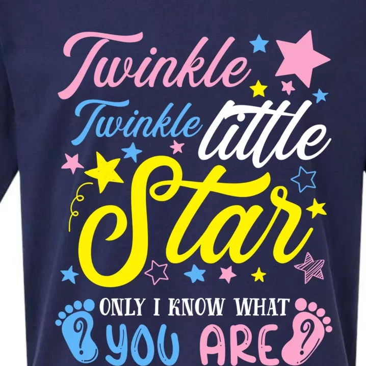 Twinkle Twinkle Little Star Funny Gender Keeper Reveal Party Gift Sueded Cloud Jersey T-Shirt