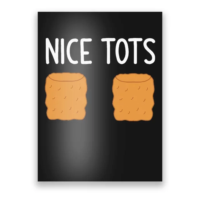 Tater Tots Nice Tots Funny Jokes Sarcastic Poster