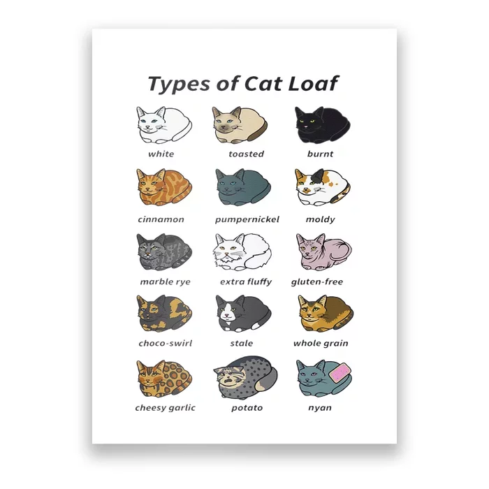 The Types of Cat Loaf Funny Animal Pet Owner Poster