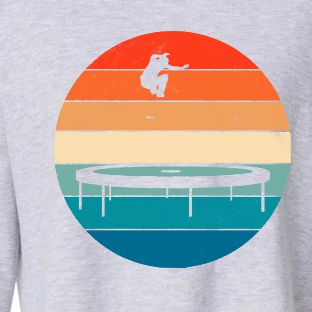 Trampoline Cropped Pullover Crew