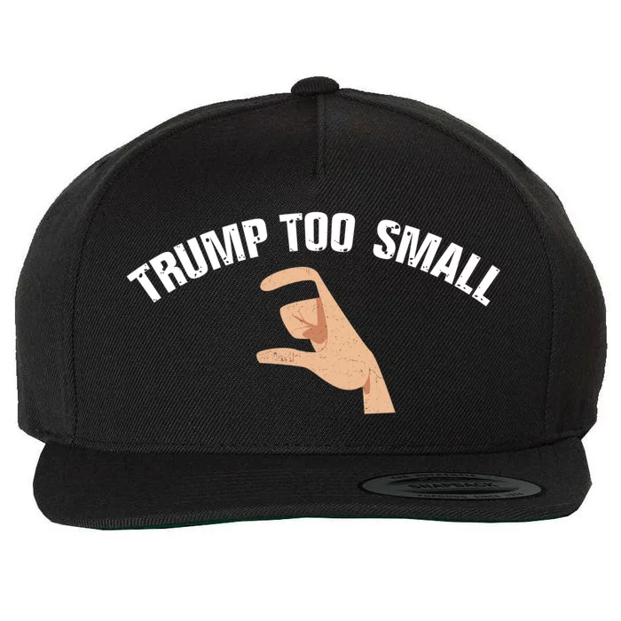 Trump Too Small Funny Elections Voting 4th Of July Trump Cute Gift Wool Snapback Cap