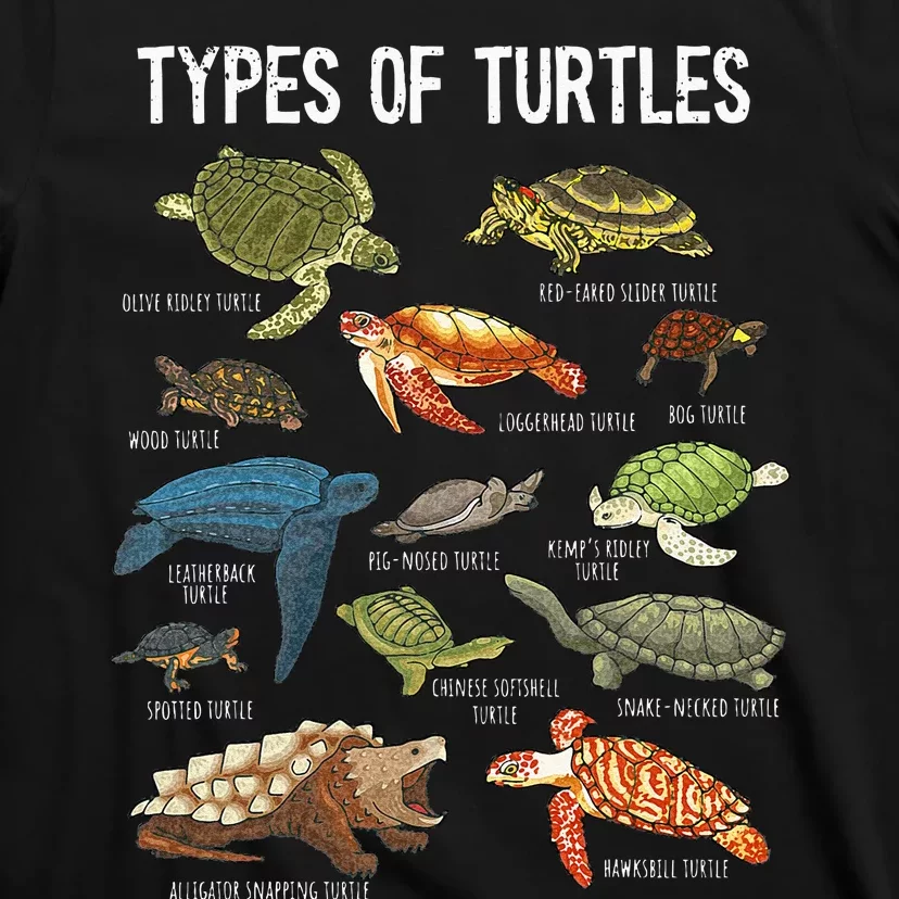 Turtle Turtle Spirit Animal Turtle Lover T-Shirt