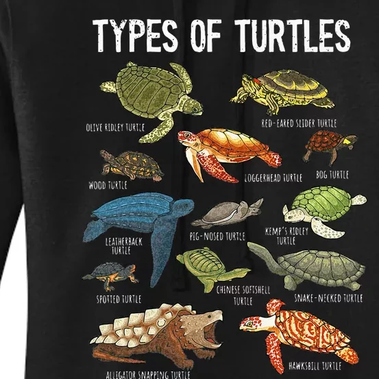 Turtle Turtle Spirit Animal Turtle Lover Women's Pullover Hoodie