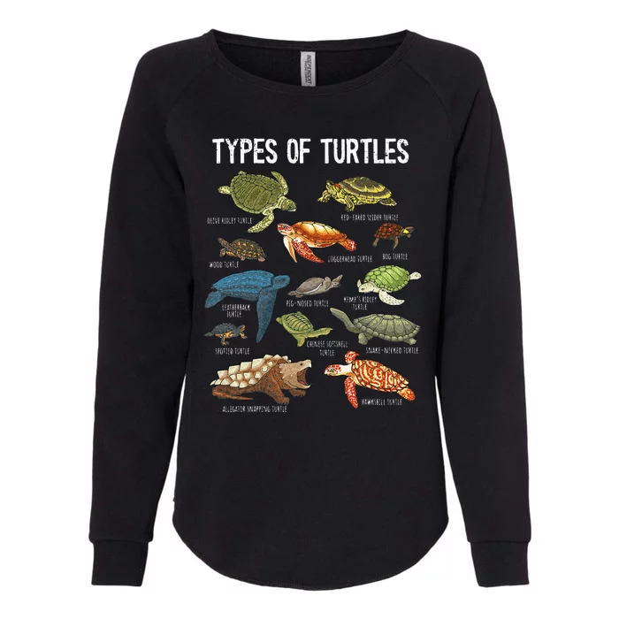 Turtle Turtle Spirit Animal Turtle Lover Womens California Wash Sweatshirt