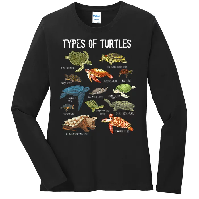 Turtle Turtle Spirit Animal Turtle Lover Ladies Long Sleeve Shirt