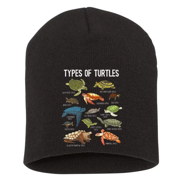 Turtle Turtle Spirit Animal Turtle Lover Short Acrylic Beanie