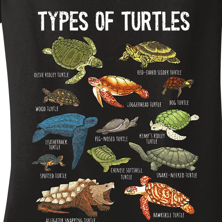 Turtle Turtle Spirit Animal Turtle Lover Women's V-Neck T-Shirt