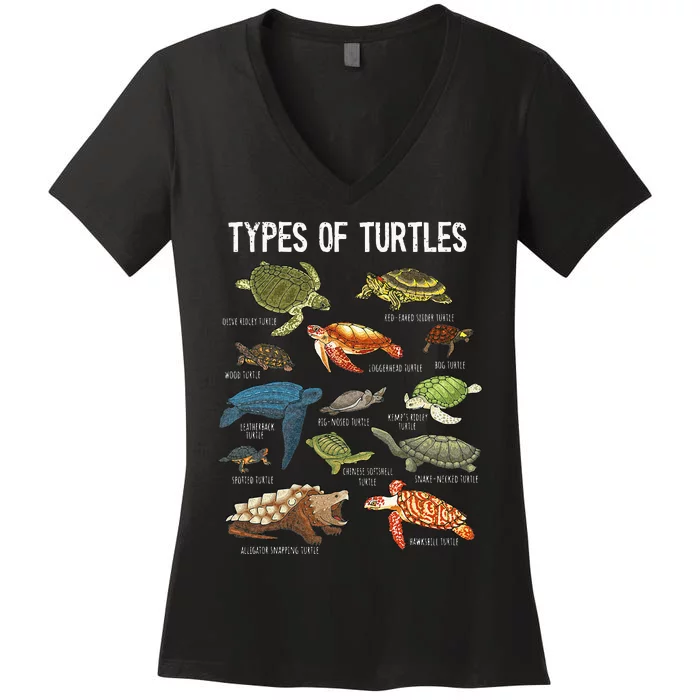 Turtle Turtle Spirit Animal Turtle Lover Women's V-Neck T-Shirt