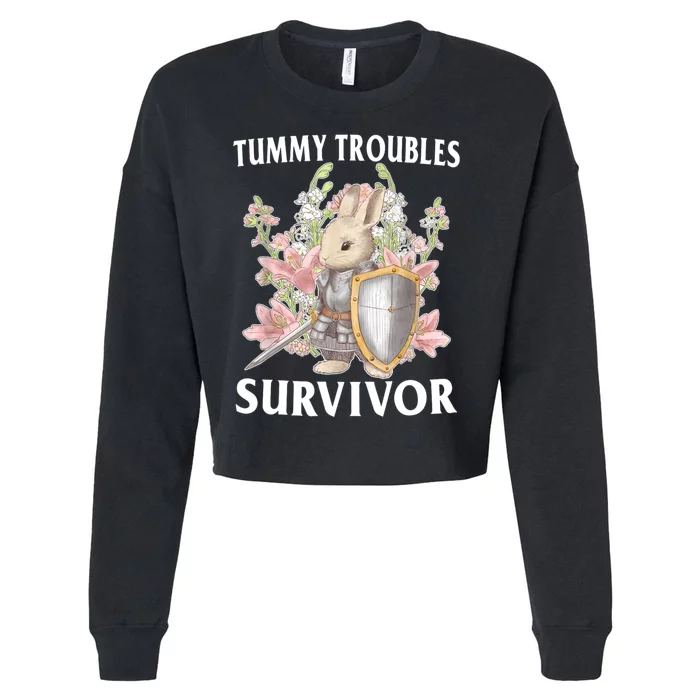 Tummy Troubles Survivor Funny Sarcastic Ibs Humor Statement Cropped Pullover Crew