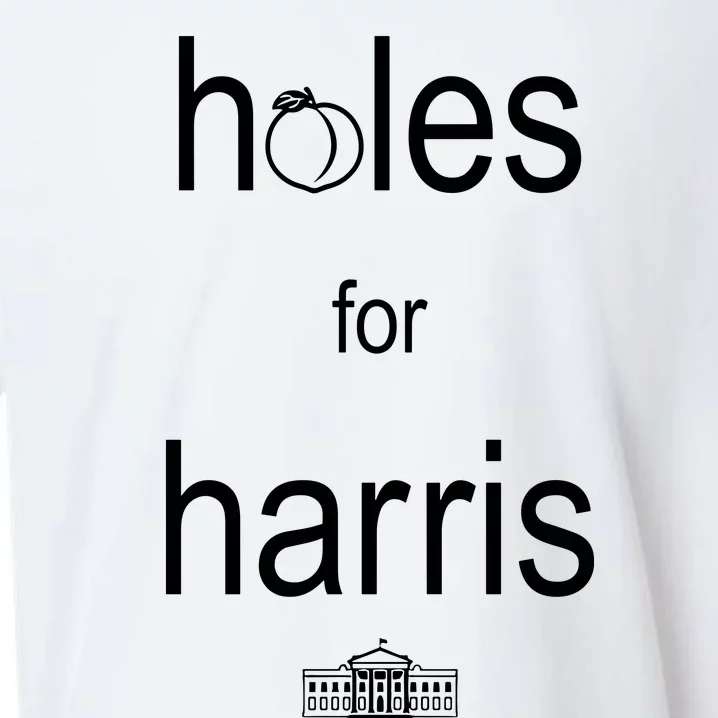 TyS Tough Talk Holes For Harris Sueded Cloud Jersey T-Shirt