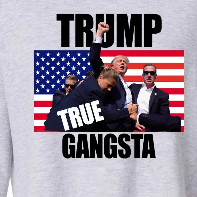 Trump The True Gangster Survived Association Cropped Pullover Crew