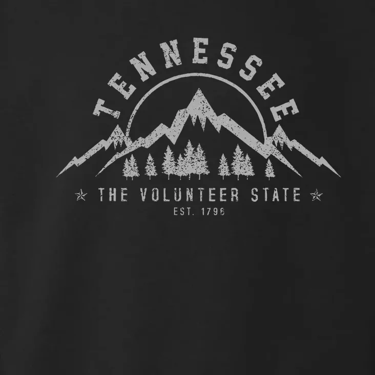 Tennessee The Volunteer State Est. 1796 Nashville Gift Toddler Hoodie