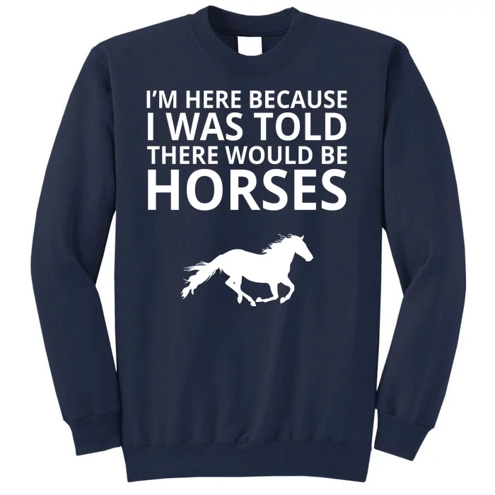 Told There Would Be Horses Tall Sweatshirt