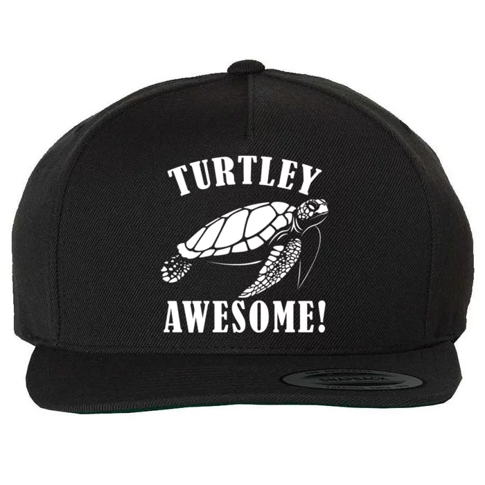 Turtley Awesome Wool Snapback Cap