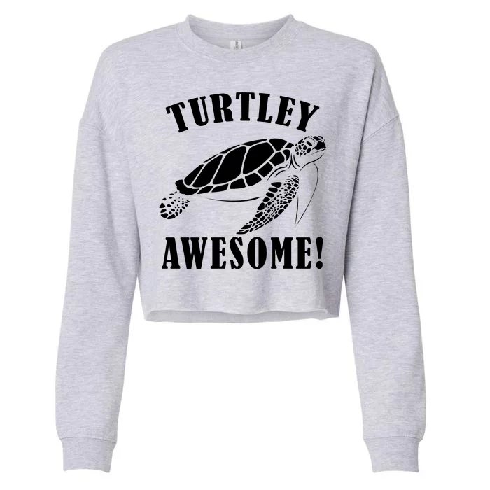 Turtley Awesome Cropped Pullover Crew