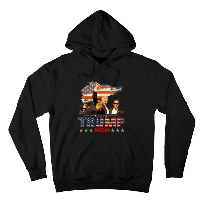 Trump Won 2024 President 47th Of White House Donald Trump Hoodie