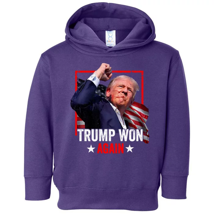 Trump Won Again 2024 Election President 47 Th American Flag Toddler Hoodie