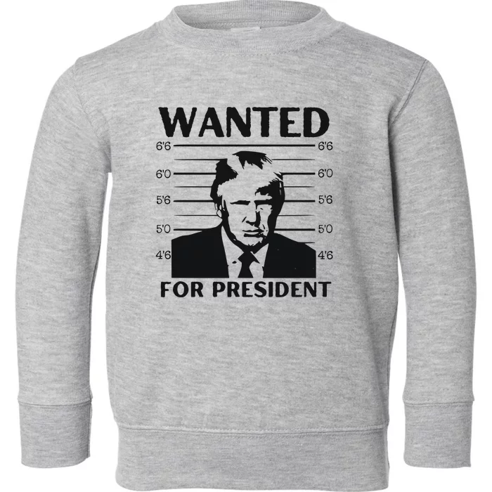 Trump Wanted For President Im Voting For Trump 2024 Toddler Sweatshirt