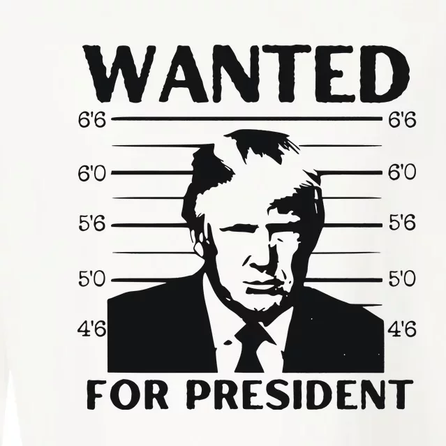 Trump Wanted For President Im Voting For Trump 2024 Cropped Pullover Crew