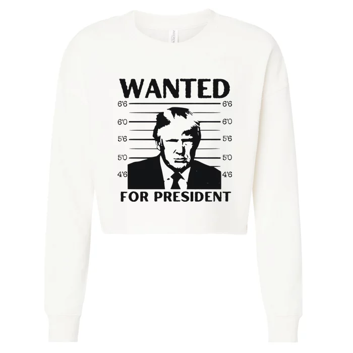 Trump Wanted For President Im Voting For Trump 2024 Cropped Pullover Crew