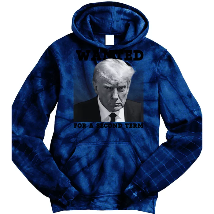 Trump Wanted For A Second Term Tie Dye Hoodie