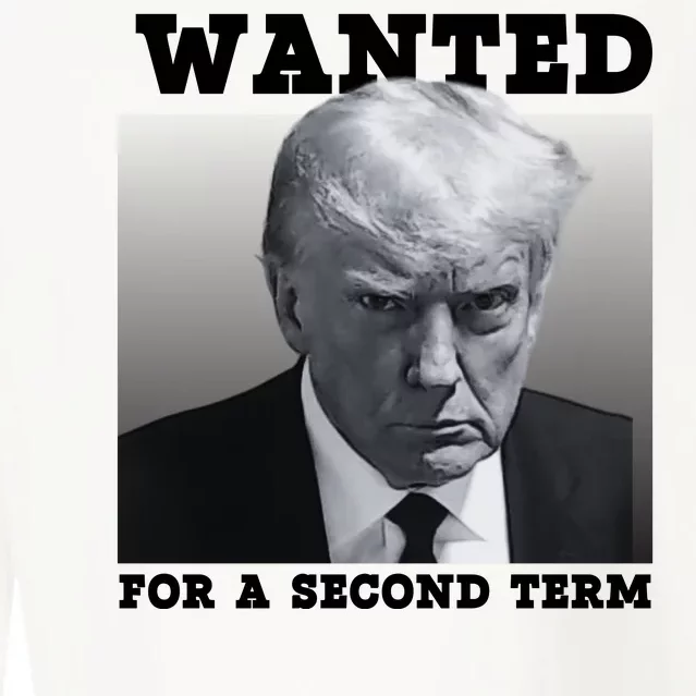 Trump Wanted For A Second Term Cropped Pullover Crew