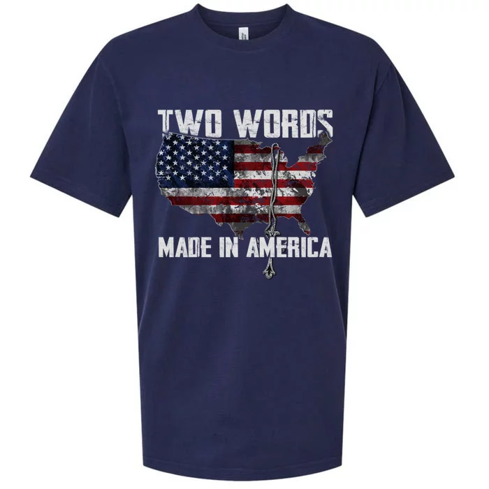 Two Words Made In America Joe Biden Vintage American US Flag Sueded Cloud Jersey T-Shirt