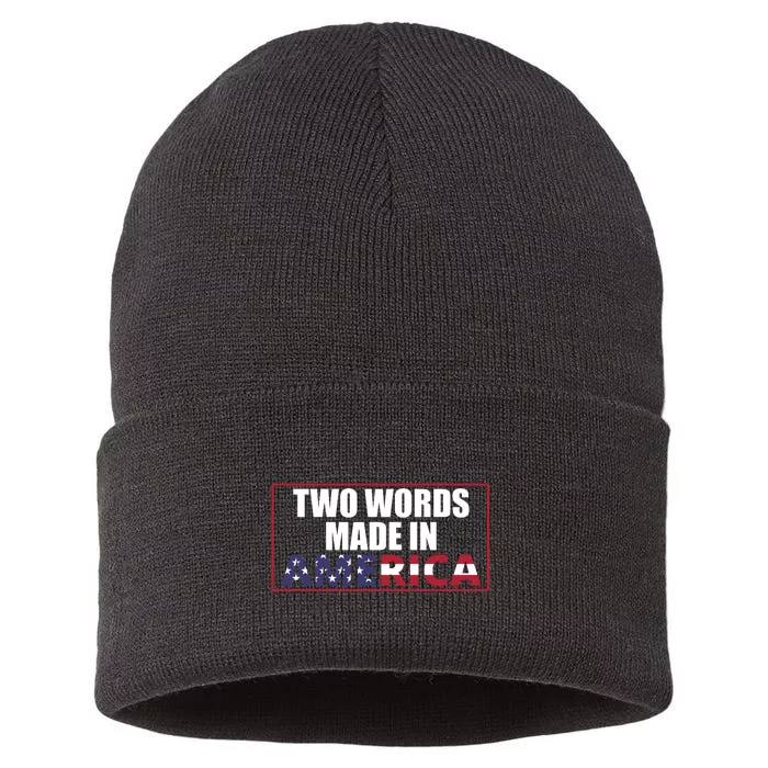 Two Words Made In America Funny Usa Flag Vintage Sustainable Knit Beanie