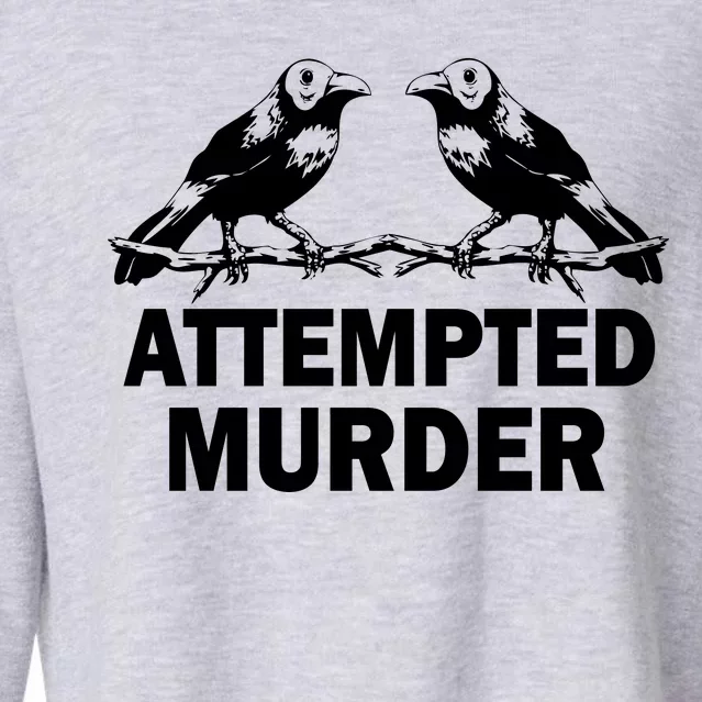 Two Crows Attempted Murder Cropped Pullover Crew