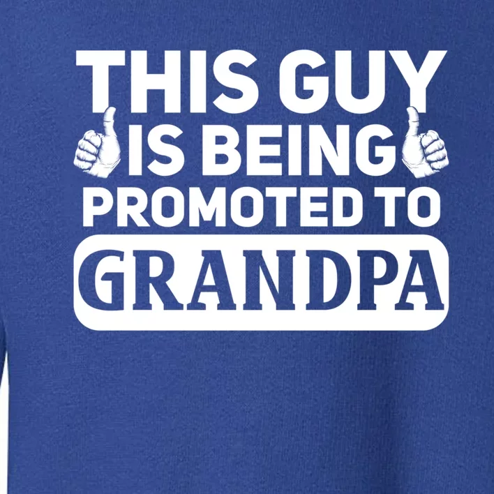 This Was Promoted To Grandpa Funny Gift Toddler Sweatshirt