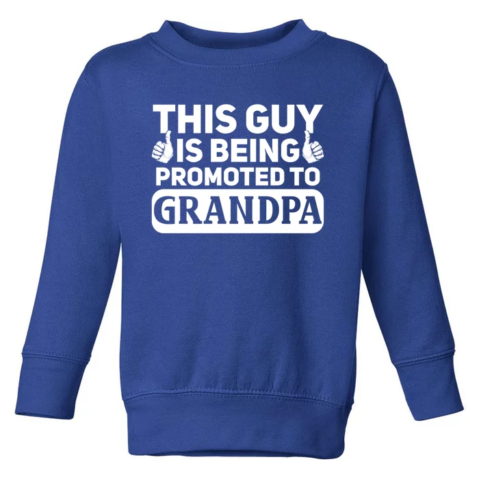 This Was Promoted To Grandpa Funny Gift Toddler Sweatshirt