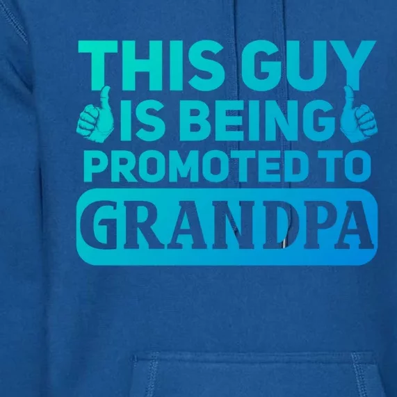 This Was Promoted To Grandpa Funny Gift Premium Hoodie