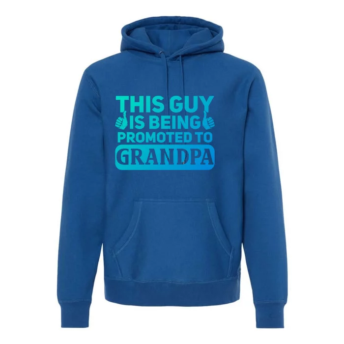 This Was Promoted To Grandpa Funny Gift Premium Hoodie