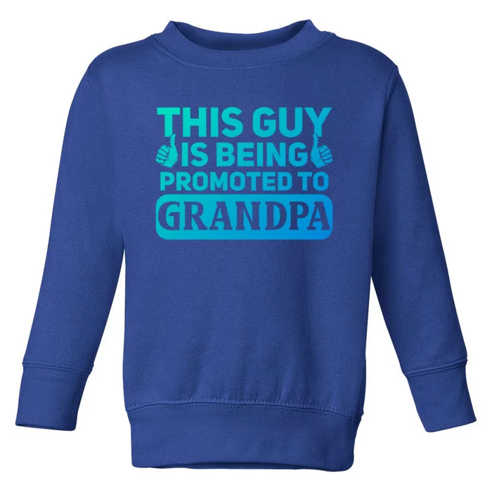 This Was Promoted To Grandpa Funny Gift Toddler Sweatshirt