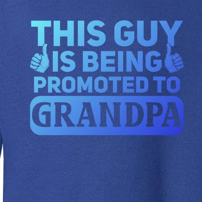 This Was Promoted To Grandpa Funny Gift Toddler Sweatshirt