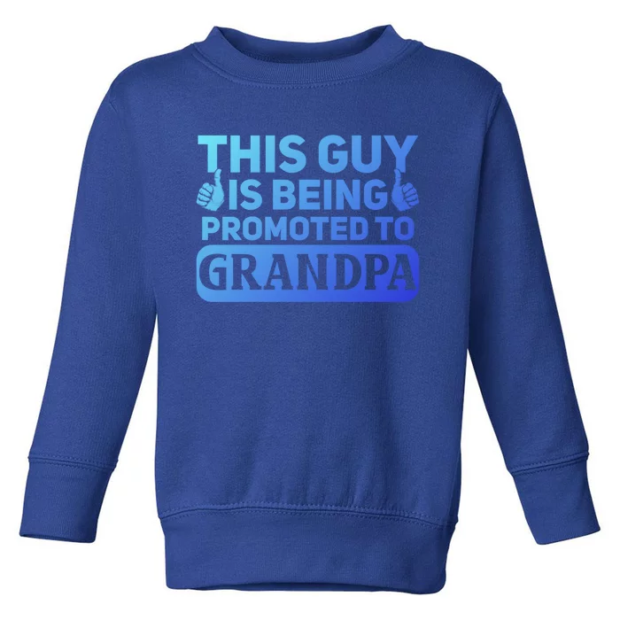 This Was Promoted To Grandpa Funny Gift Toddler Sweatshirt