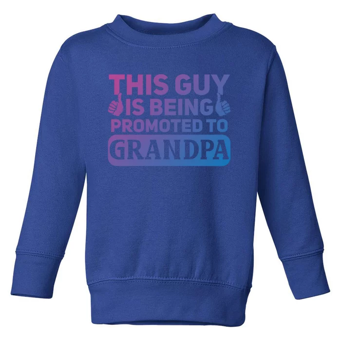 This Was Promoted To Grandpa Funny Gift Toddler Sweatshirt