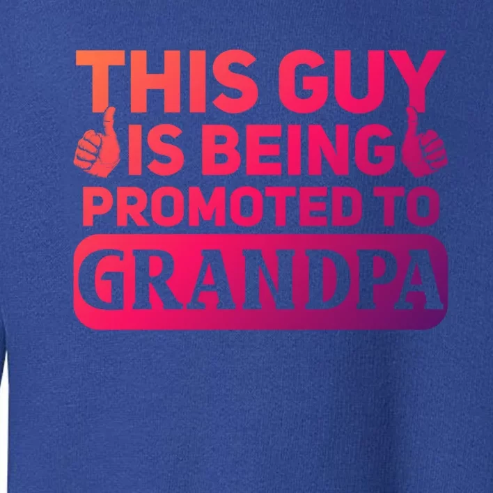 This Was Promoted To Grandpa Funny Gift Toddler Sweatshirt