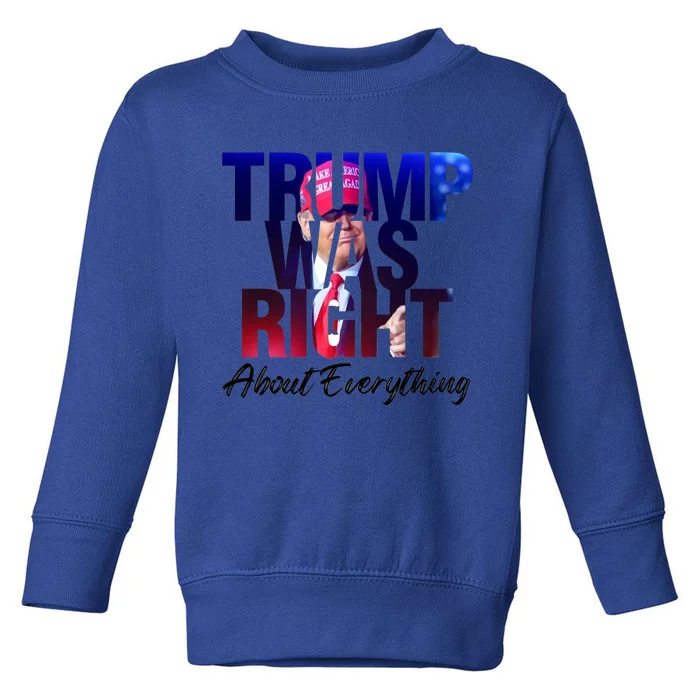 Trump Was Right About Everything Gift Toddler Sweatshirt