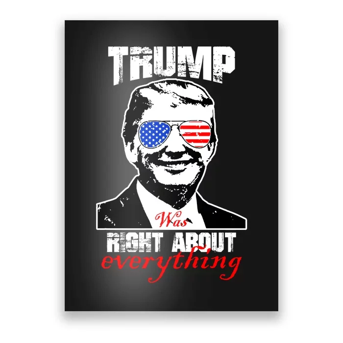 Trump Was Right About Everything Sunglasses USA Poster