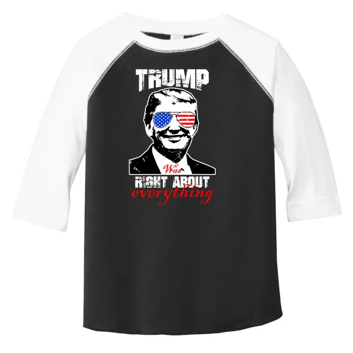 Trump Was Right About Everything Sunglasses USA Toddler Fine Jersey T-Shirt