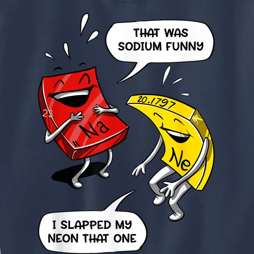 That Was Sodium Funny Geek Chemistry Science Joke Kids Sweatshirt