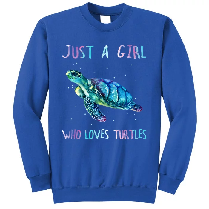 Turtle Watercolor Sea Ocean Just A Who Loves Turtles Gift Sweatshirt