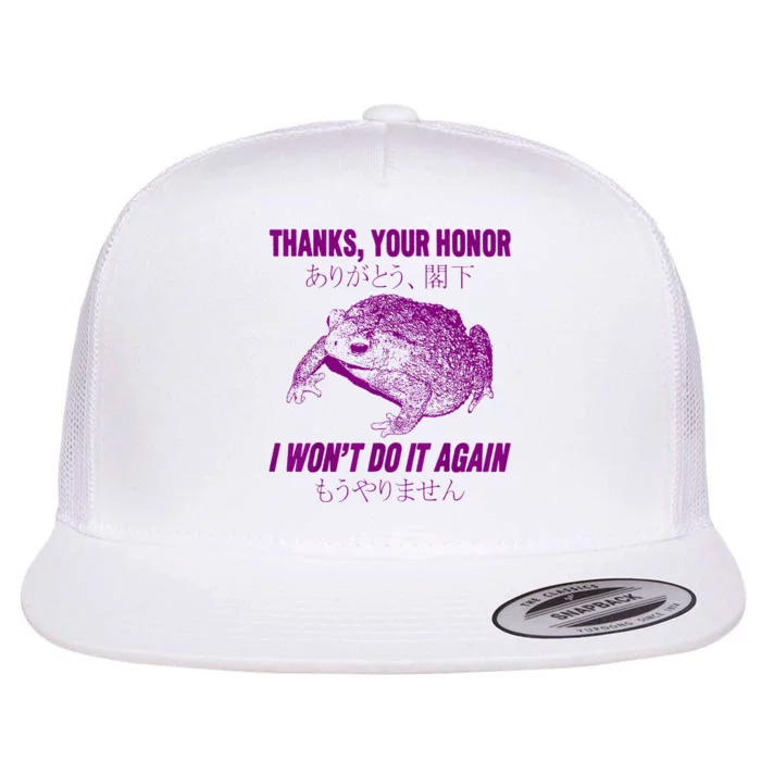 Thanks Your Honor I WonT Do It Again Frog Flat Bill Trucker Hat