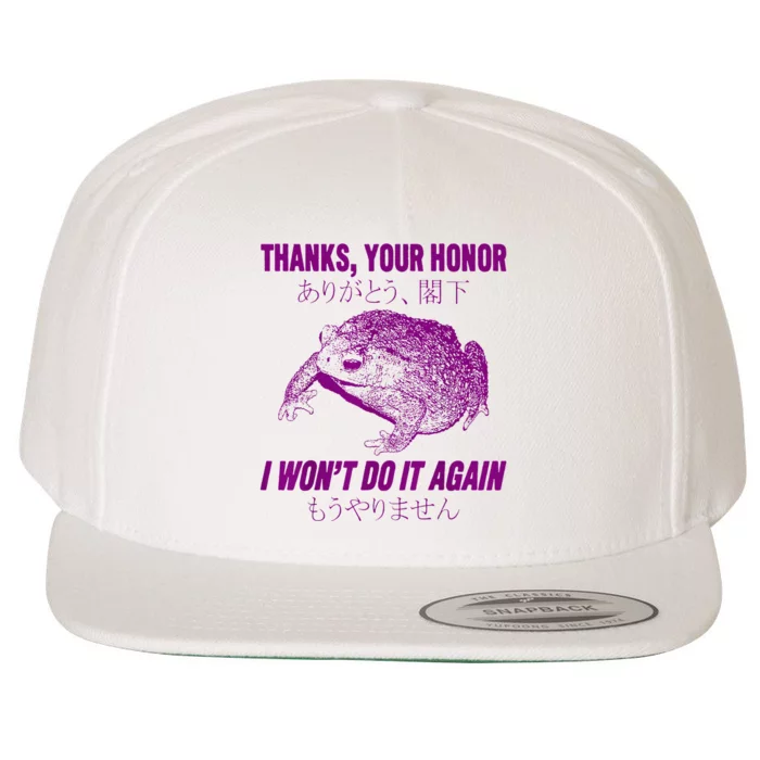 Thanks Your Honor I WonT Do It Again Frog Wool Snapback Cap