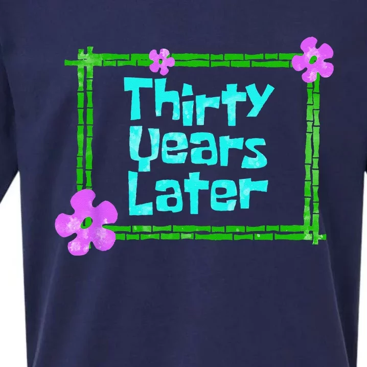 Thirty Years Later Funny 30 Year Old Birthday Party Sueded Cloud Jersey T-Shirt