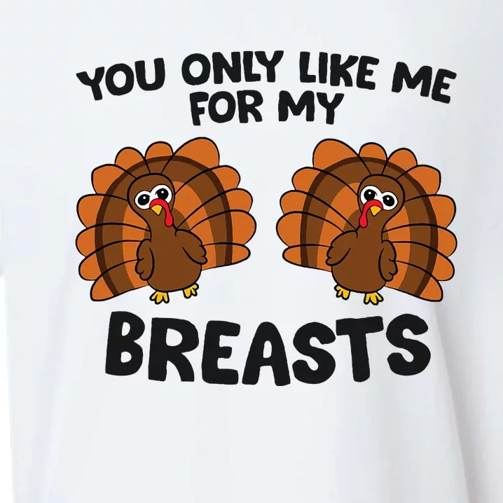 Thanksgiving You Only Like Me For My Breasts Turkey Sueded Cloud Jersey T-Shirt